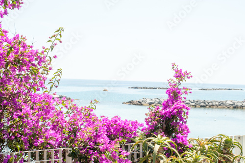 beautiful sea in Sanremo, Italy