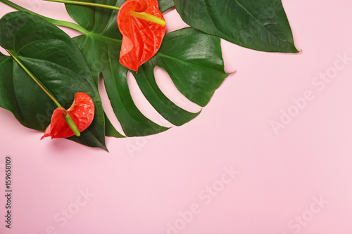 Composition with beautiful tropical flowers and leaves on color background