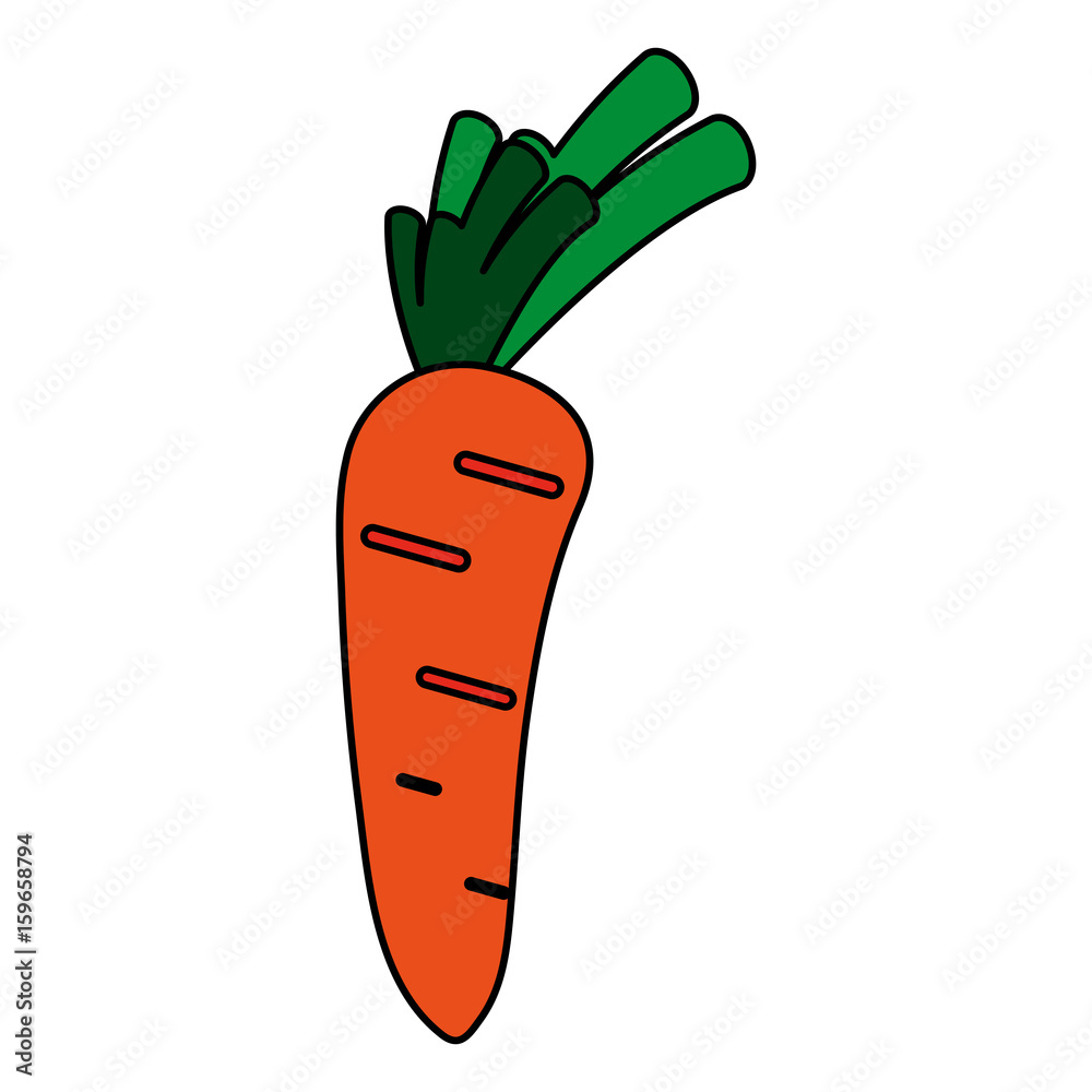 Delicious vegetable carrot icon vector illustration design graphic flat 