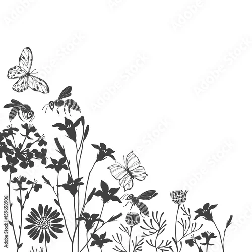 Naklejka na ścianę Tle kwiatów z łąkowych kwiatów, motyli i pszczół. Narożnikowa ilustracja z miejscem na tekst. Zaproszenie, kartkę z życzeniami. Czarne sylwetki na białym tle.