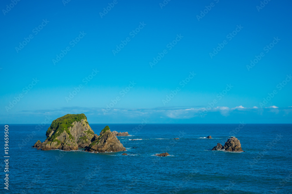 Wall Island near Cape Foulwind, View from the Cape Foulwind walkway at the Seal Colony, Tauranga Bay. New Zealand