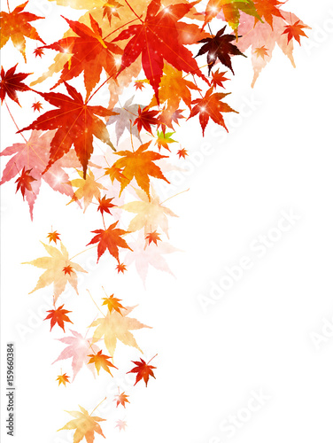 紅葉　秋　葉　背景