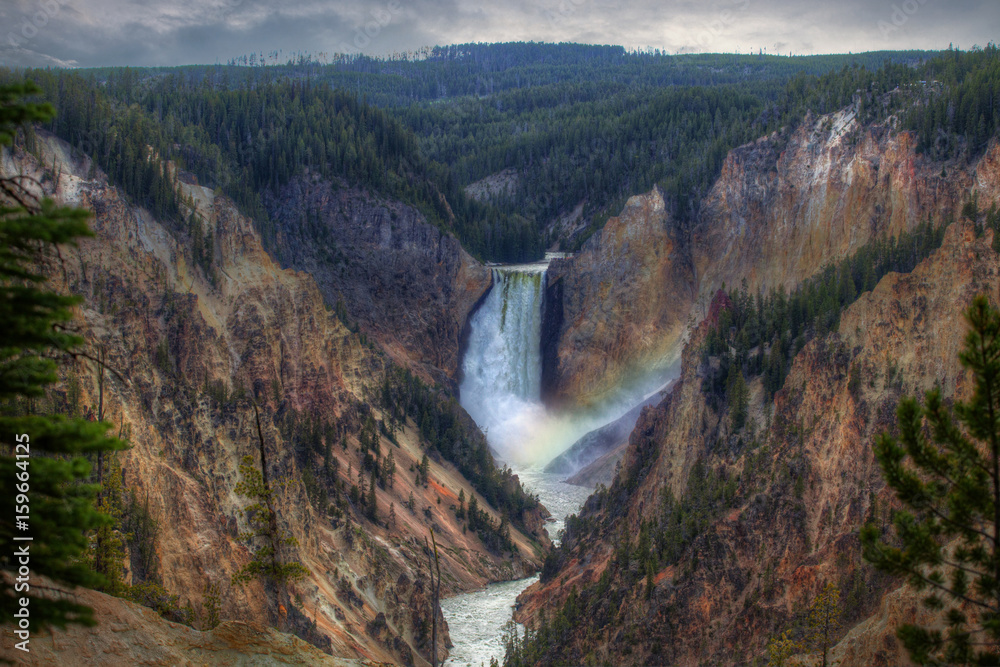 Fototapeta premium Lower falls at Yellowstone