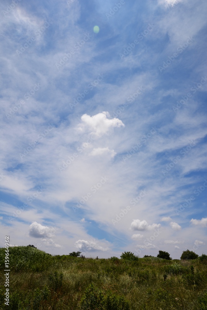 日本の夏・青空と白雲