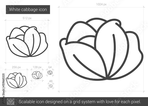White cabbage vector line icon isolated on white background. White cabbage line icon for infographic, website or app. Scalable icon designed on a grid system.