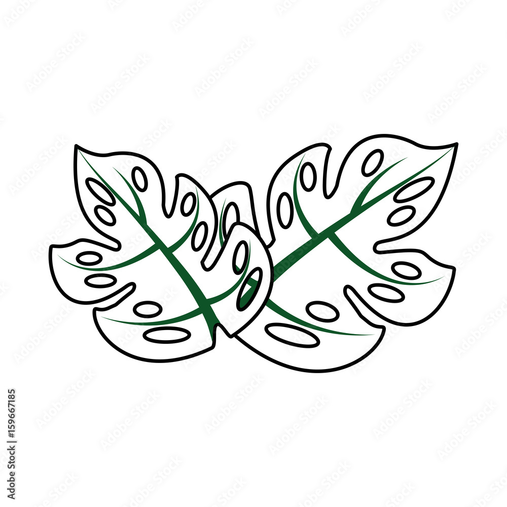 tropical leaf summer icon vector illustration design