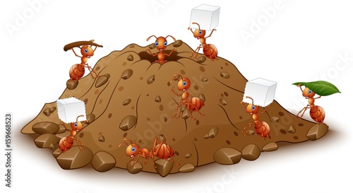 Fényképezés Cartoon ants colony with anthill