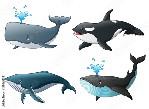 Set of sea marine fish
