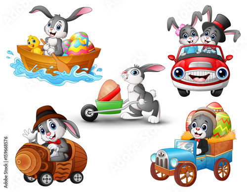 Set of rabbit cartoon driving of vehicle