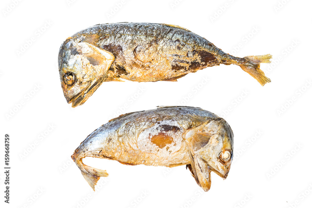 mackerel fish on white background mackerel fish on white background