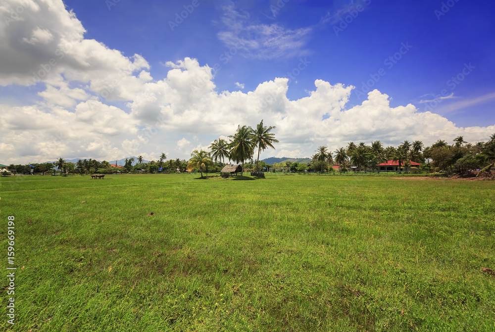 Scenery of the countryside in Langkawi, Malaysia. Scenery of the countryside in Langkawi, Malaysia.