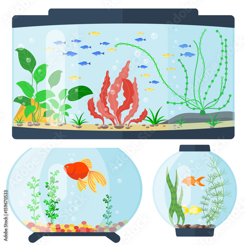 Transparent aquarium vector illustration habitat water tank house underwater fish tank bowl.