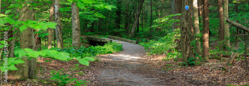 Pano of path and bridge