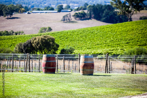 winery farm photo