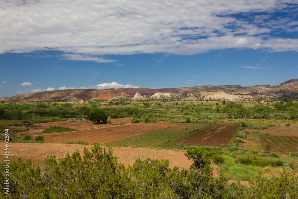 Fototapeta premium Farming Fields