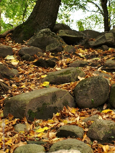 Rocks in the Fall