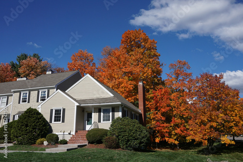 apartment building with colorful autumn trees