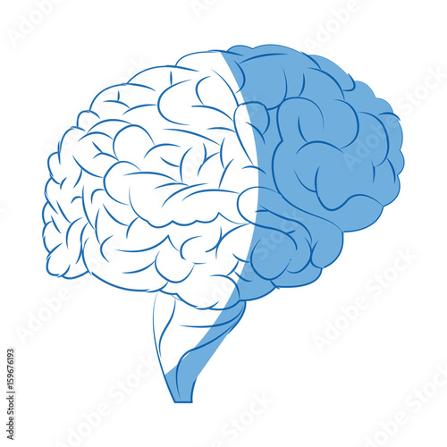 human brain organ medical healthcare science vector illustration