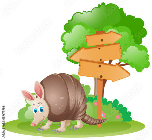 Wooden signs with armadillo underneath