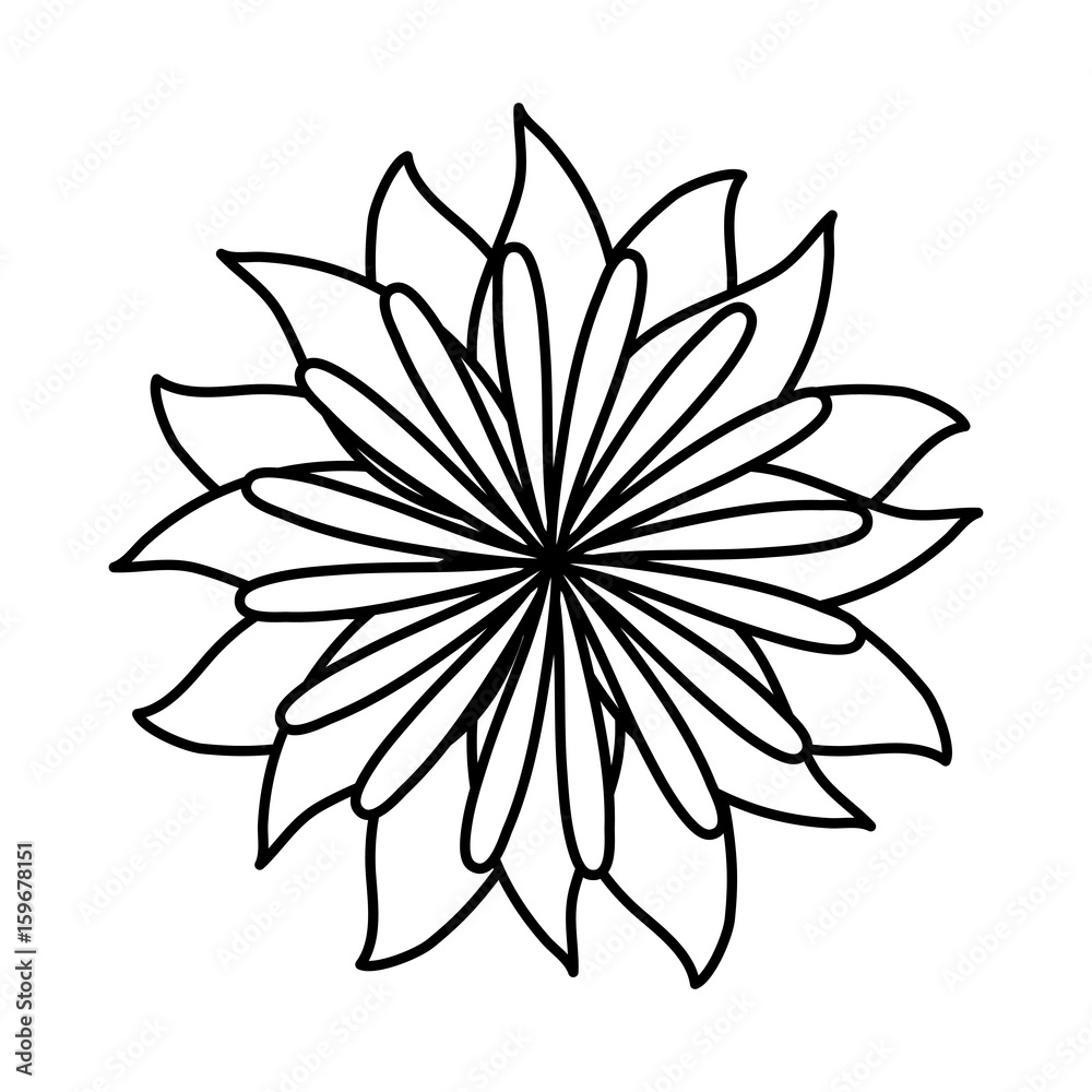 flower icon over white background vector illustration flower icon over white background vector illustration