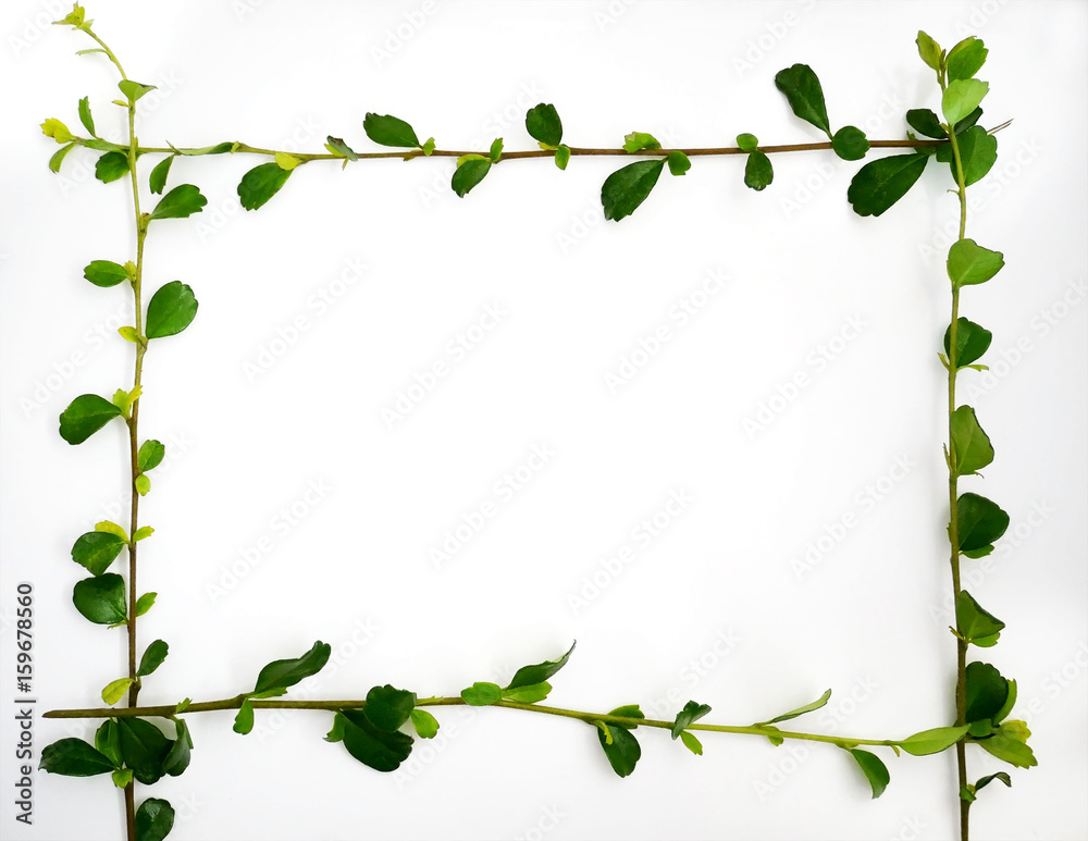 Border frame of green leaves with copy space on white background Border frame of green leaves with copy space on white background