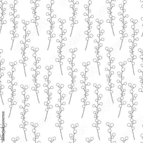 Mimosa flower hand drawn vector illustration isolated on white background, seamless floral pattern, ink doodle sketch, black line art for design greeting card, wedding invitation, packaging cosmetics © m_e_l