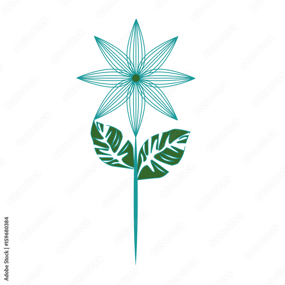 Beautiful ornamental flowers icon vector illustration graphic design Beautiful ornamental flowers icon vector illustration graphic design