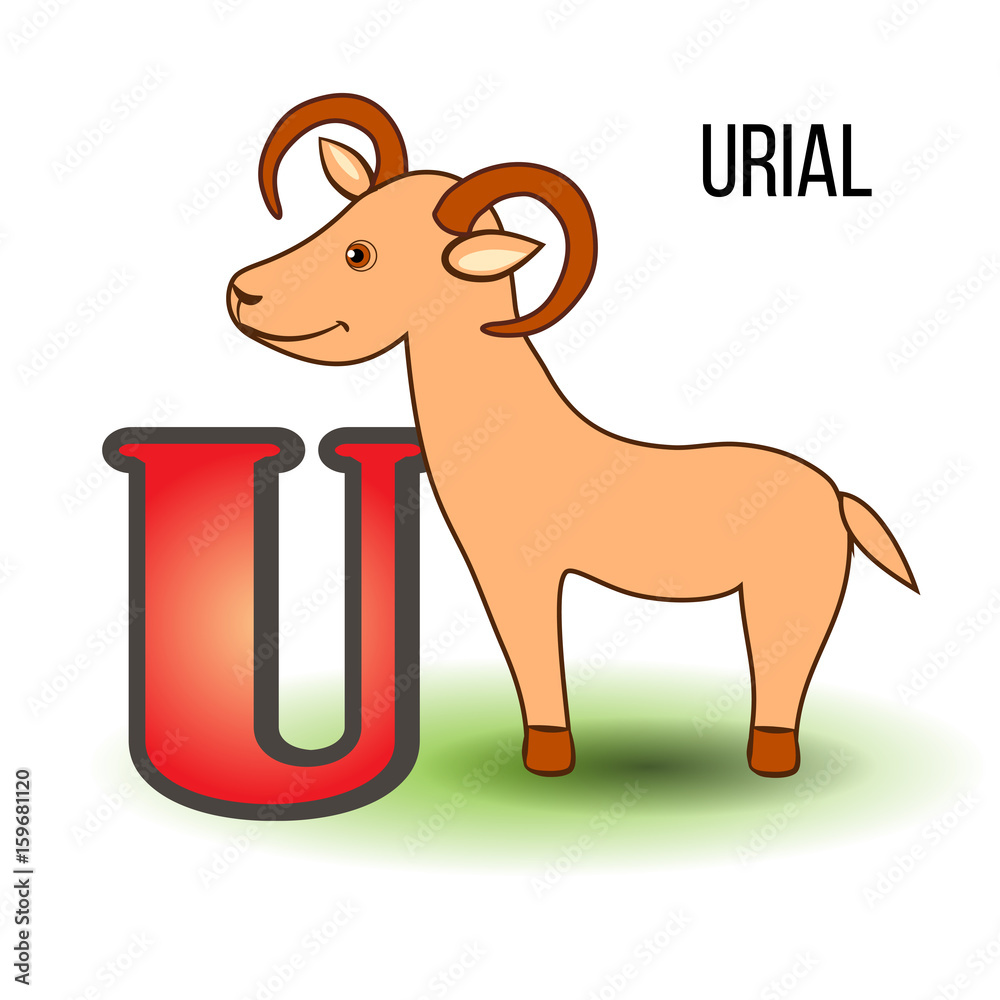 Cute Zoo alphabet U with cartoon urial, kid ram wild animal vector ...