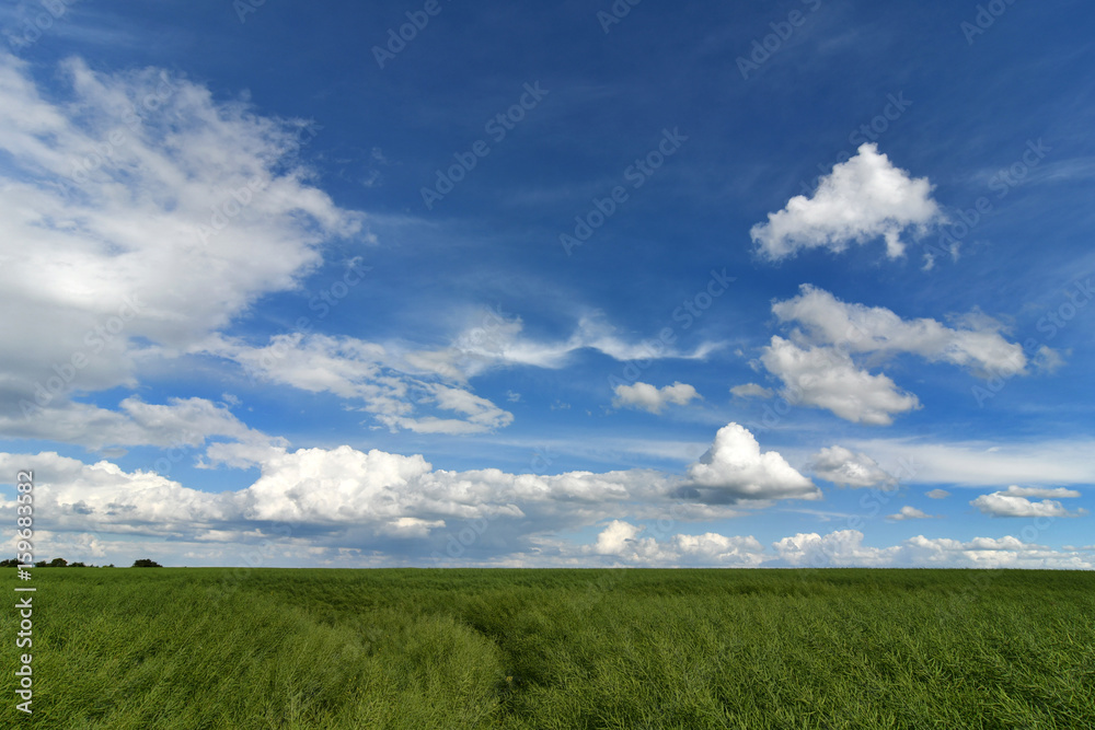 Obraz premium Sommerhimmel