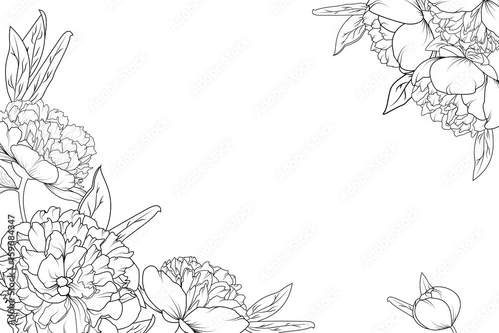 Naklejka premium Piwonia, róża kwiaty ogrodowe, czarno-biały szczegółowy rysunek szkicowy. Szablon elementu dekoracyjnego ramki narożnej. Poziomy układ poziomy. Projekt ilustracji wektorowych.