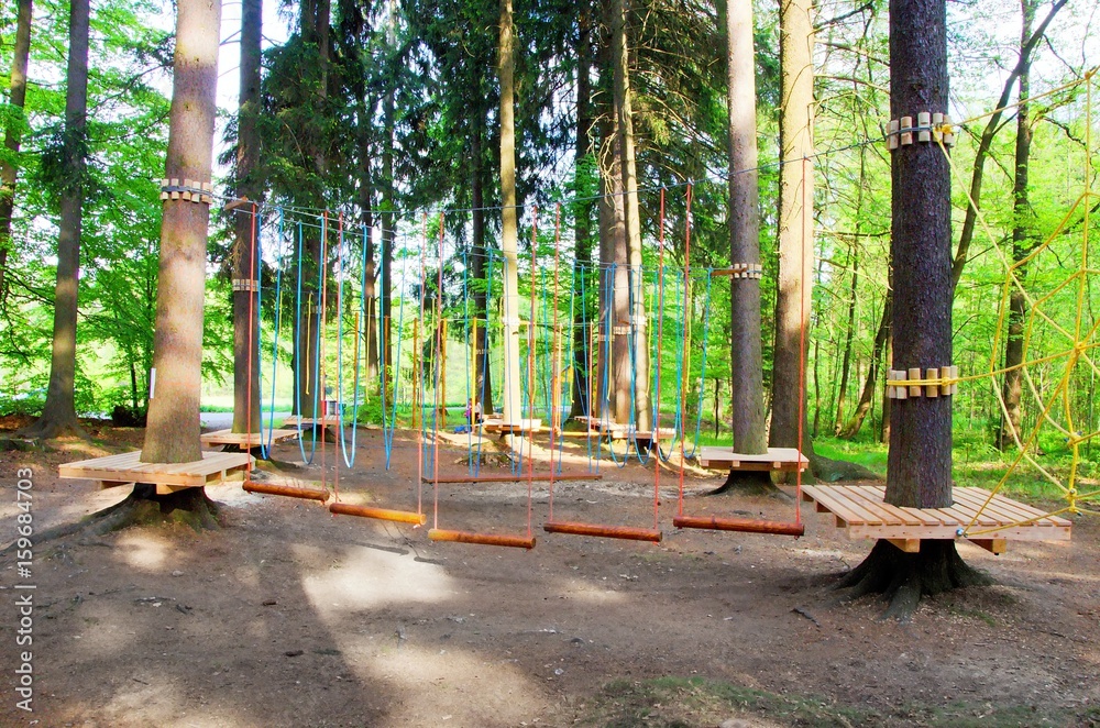 A children's natural rope park tethered on the trees in the wood.