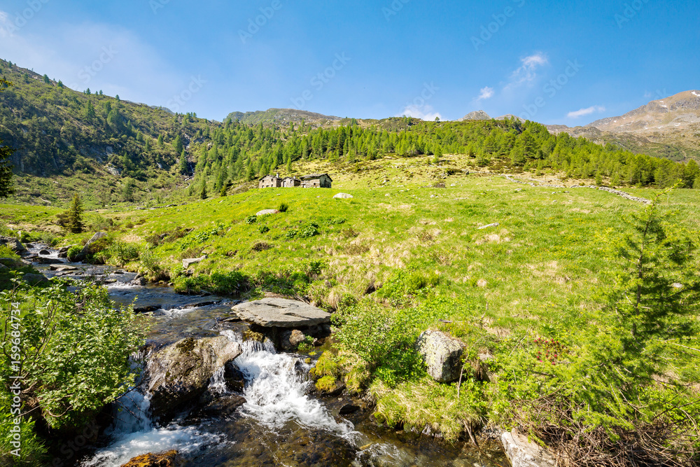 Naklejka premium Val Tartano - Valtellina (IT) - Tipiche baite rurali sopra Arale