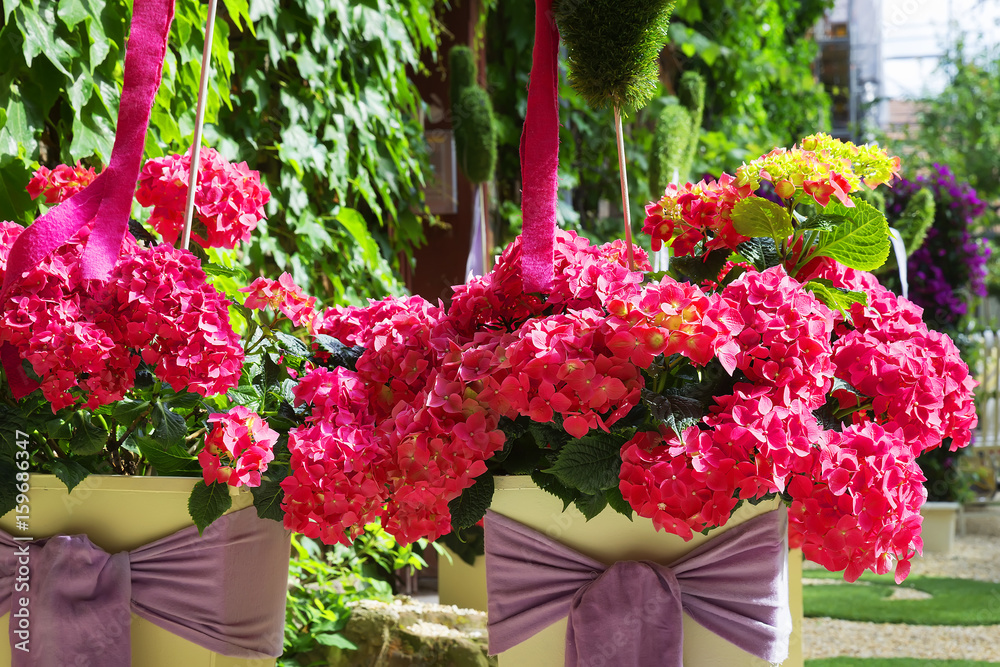 Fototapeta premium Details and elements of the street interior, many flowers and greenery