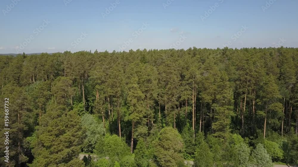 Fly over the forest to the river Fly over the forest to the river