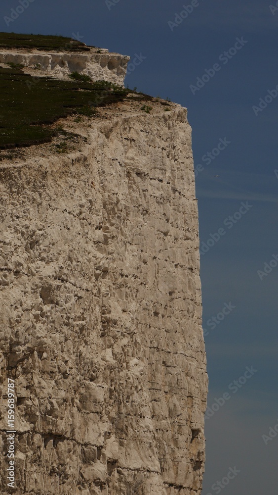 Chalk Cliff below Haven Brow