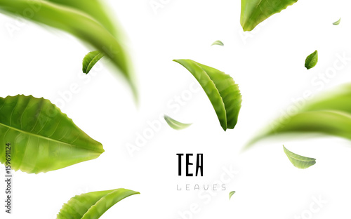 tea leaf elements