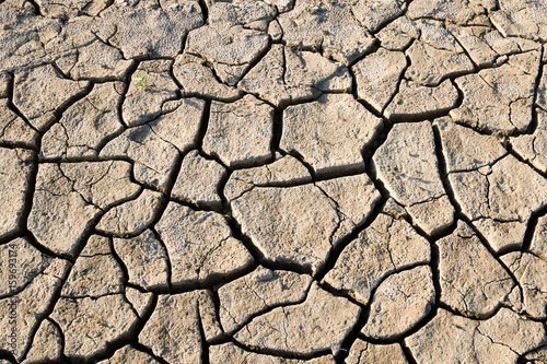 drought cracked earth
