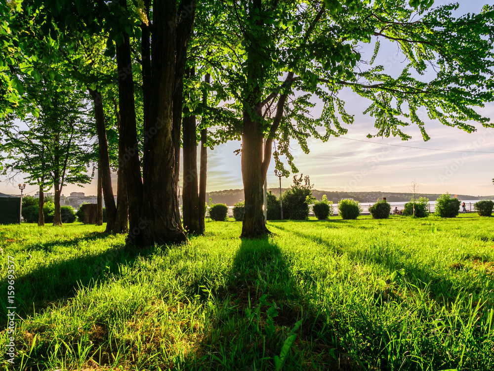 Shade from trees to grass sun sunset background in park Shade from trees to grass sun sunset background in park