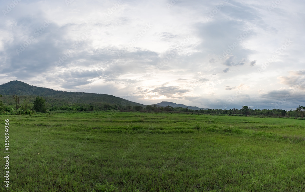 Meadow and mountain view in the evening