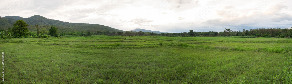 Meadow and mountain view in the evening. (Panorama view)