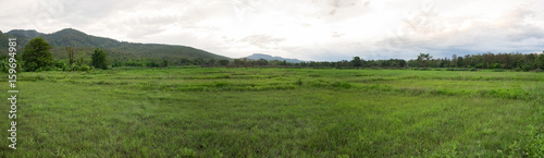 Meadow and mountain view in the evening. (Panorama view)