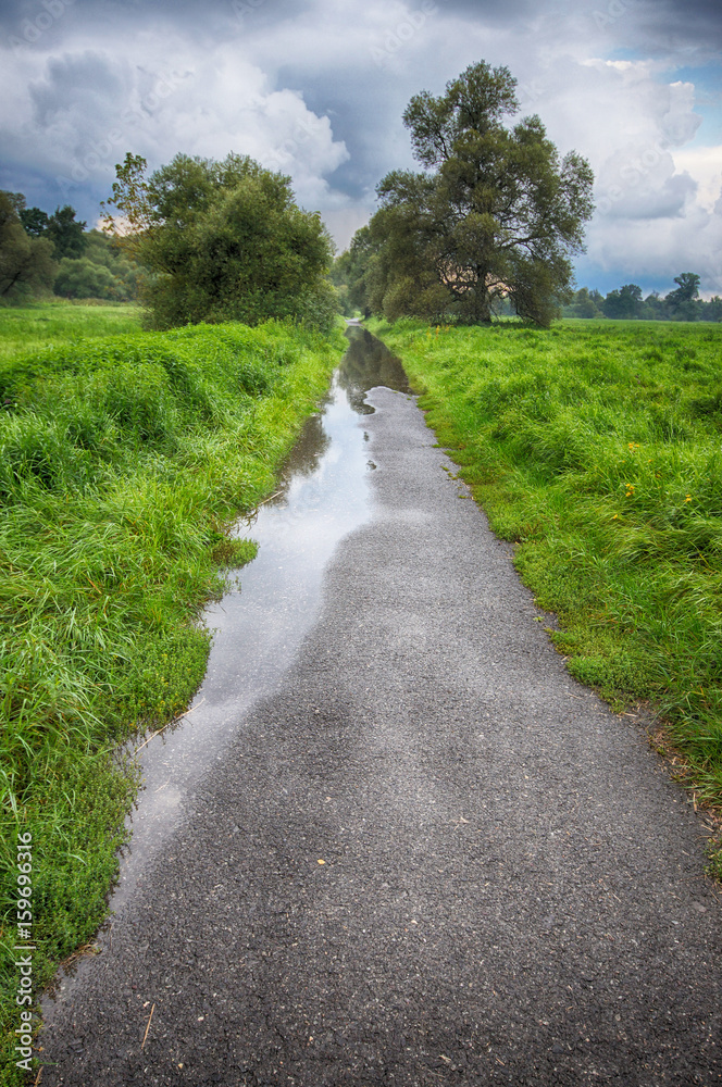 Obraz premium After the rain