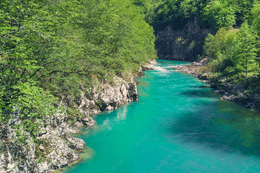 Top view of the river in the mountains surrounded by a green forest