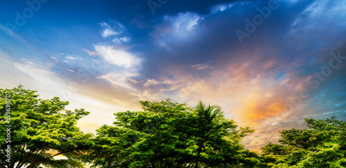 sunset at rural scene © fotoslaz