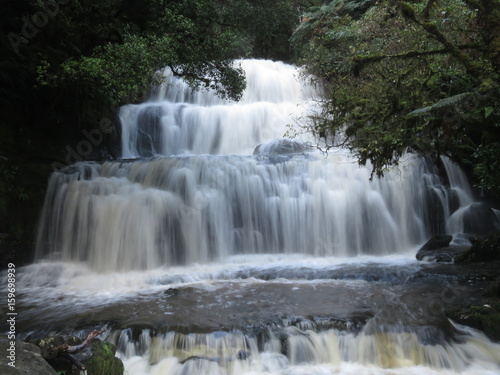 Purakanui falls