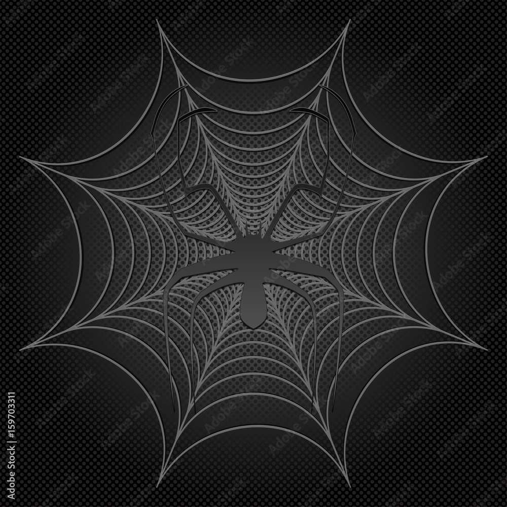 Fototapeta premium black spider and web, cobweb
