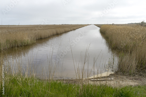 Landscape with waterchannel in Danube Delta, Romania, in a foggy spring day photo