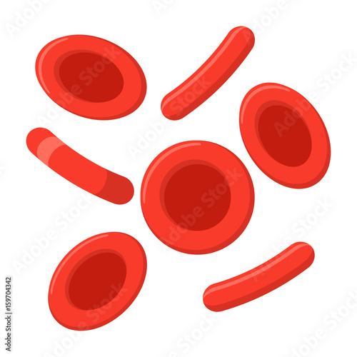 Red blood cells, vector illustration in flat style