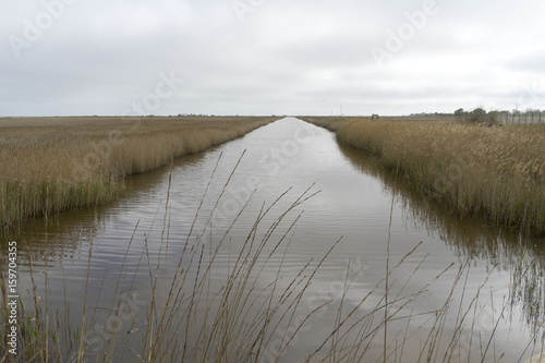 Landscape with waterchannel in Danube Delta, Romania, in a foggy spring day photo