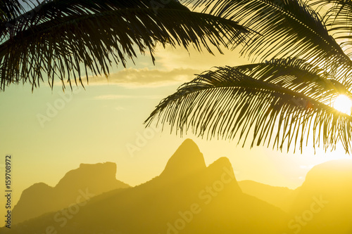 Golden sunset lights up the silhouette of palm fronds against the iconic outline of Two Brothers Mountain in Ipanema Beach, Rio de Janeiro, Brazil 